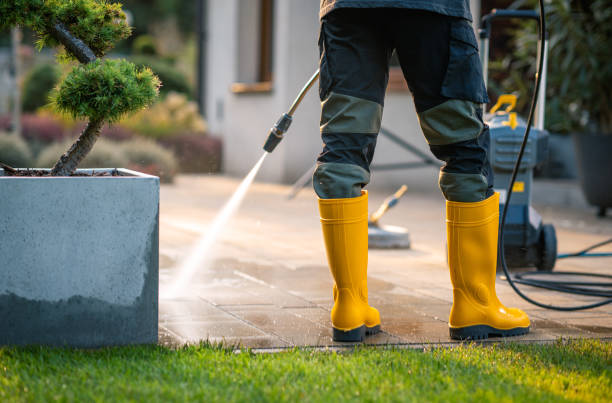 Best Roof Power Washing Services  in Loma Linda, CA